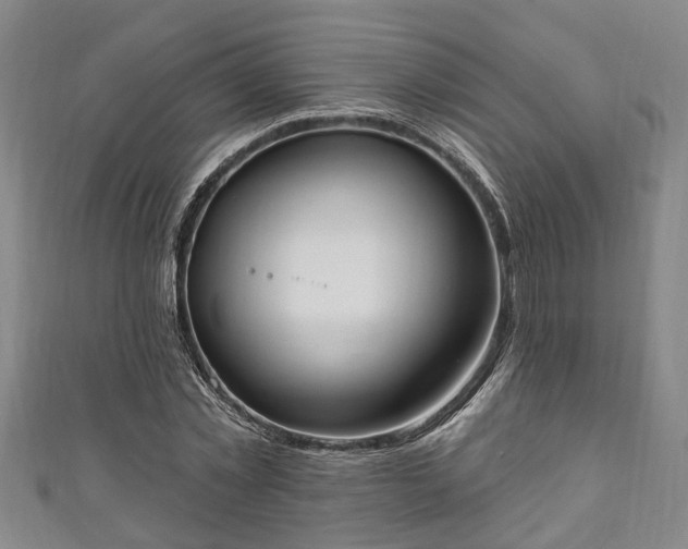 X0000111170781200907081214