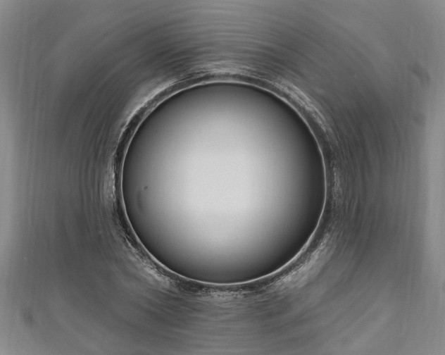 X0000111170782200907081214