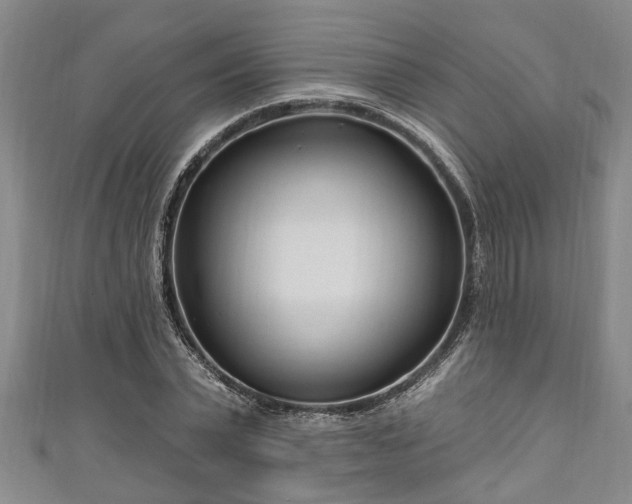 X0000111170783200907081214