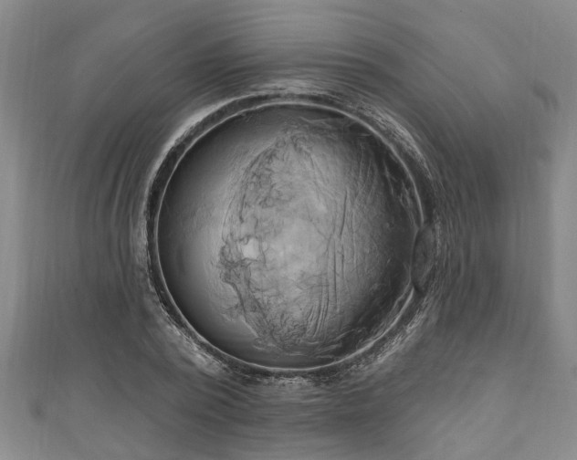 X0000111170784200907081214