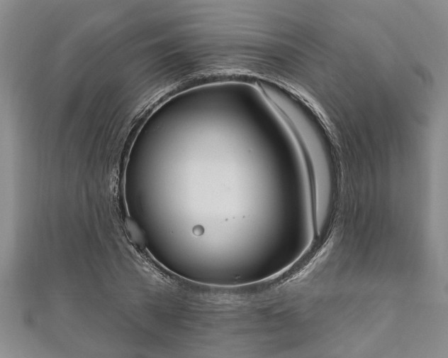 X0000111170785200907081214