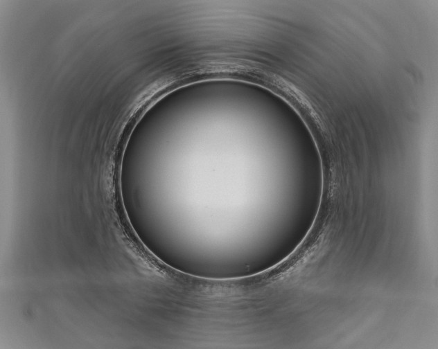 X0000111170786200907081214