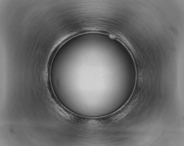 X0000111170787200907081214