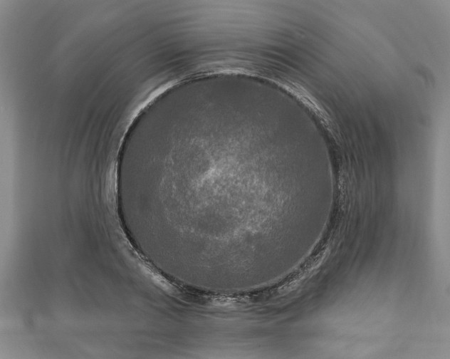 X0000111170790200907081214