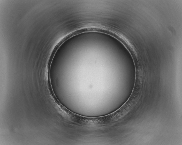 X0000111170791200907081213