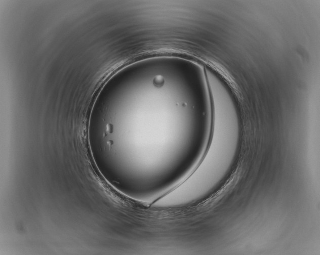 X0000111170793200907081213