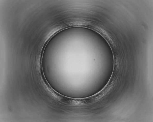 X0000111170794200907081213