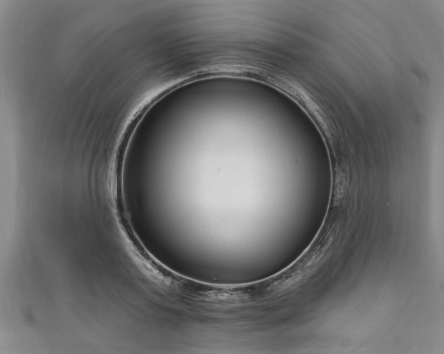 X0000111170795200907081213