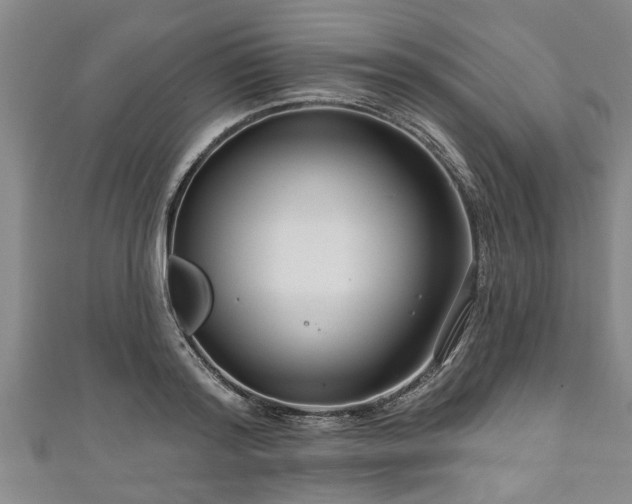 X0000111170796200907081213