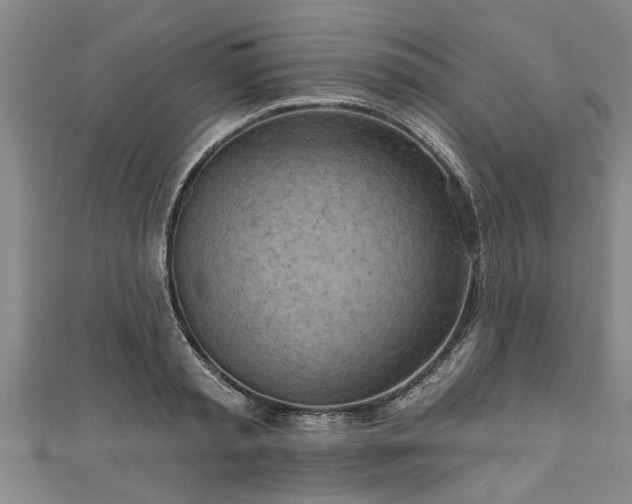 X0000111170797200907081213