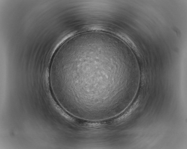 X0000111170798200907081213