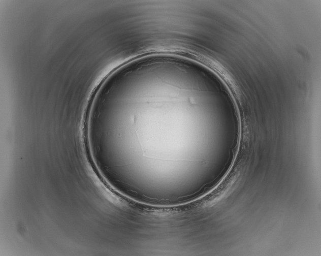 X0000111170803200907081213