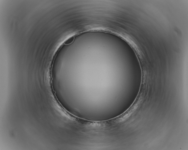 X0000111170806200907081213