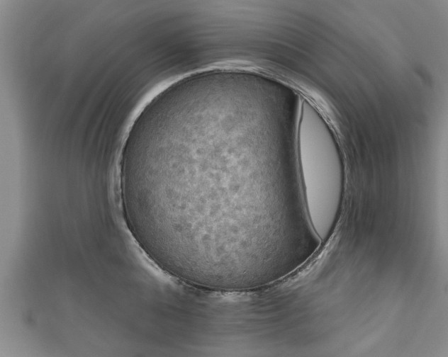 X0000111170808200907081213