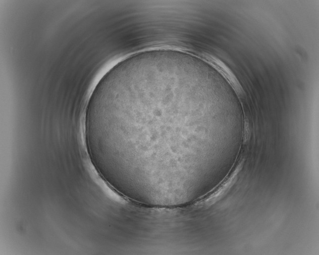 X0000111170812200907081213