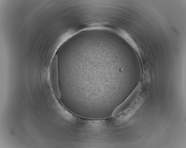 X0000111170813200907081213