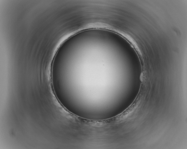 X0000111170815200907081213