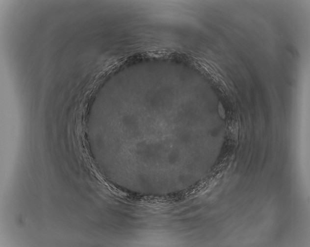 X0000111170817200907081213