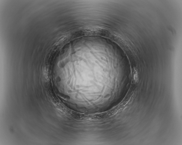 X0000111170819200907081213