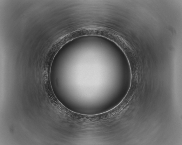 X0000111170821200907081213