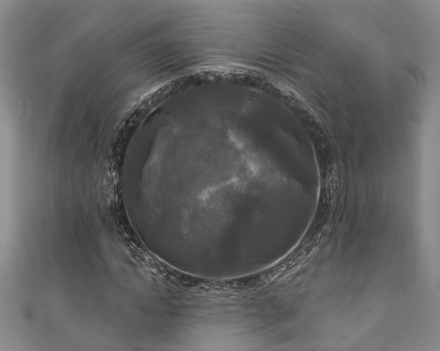 X0000111170822200907081213