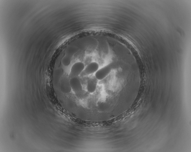 X0000111170823200907081213