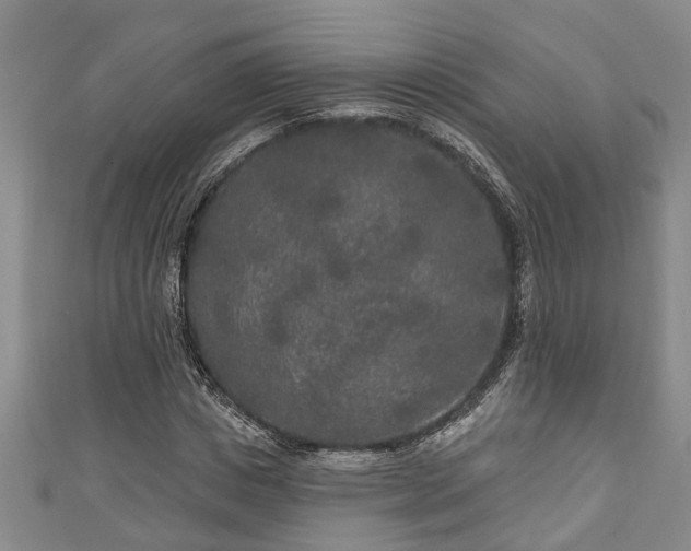 X0000111170825200907081213