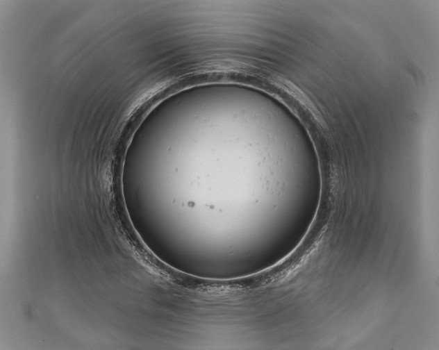 X0000111170826200907081213