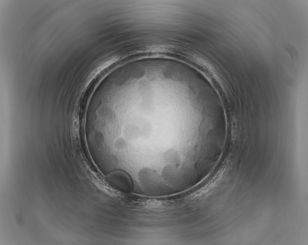 X0000111170827200907081213