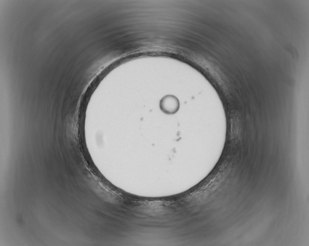 X0000111170828200907081213