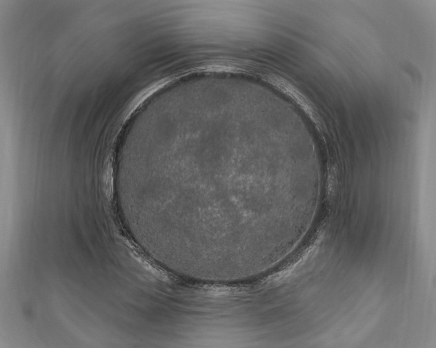 X0000111170829200907081213