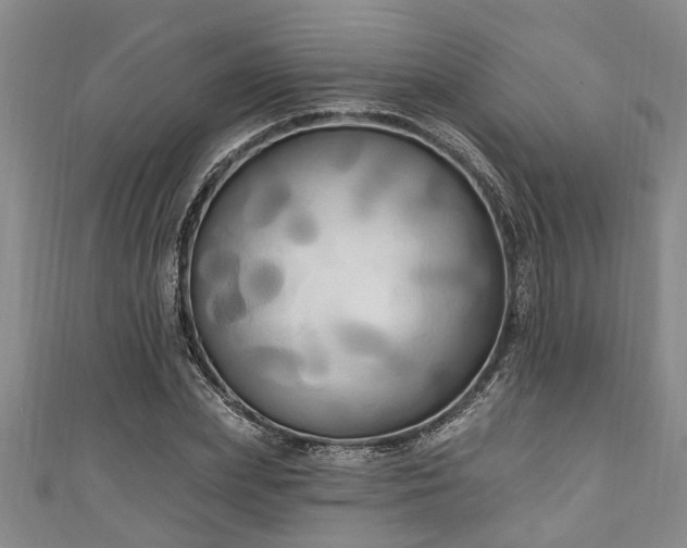 X0000111170831200907081213