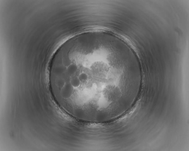 X0000111170835200907081213