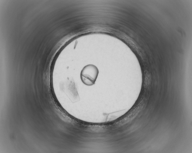 X0000111170836200907081213