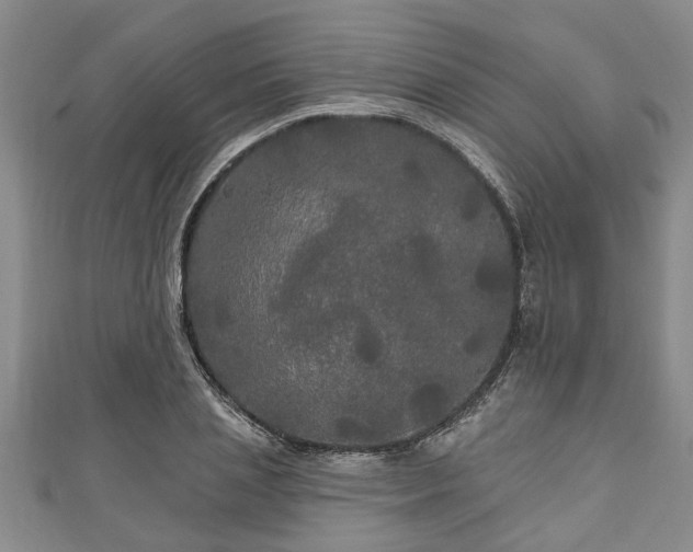 X0000111170837200907081213