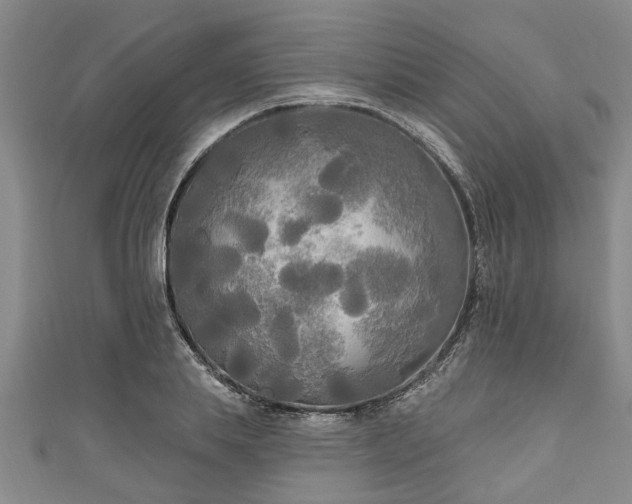 X0000111170839200907081213