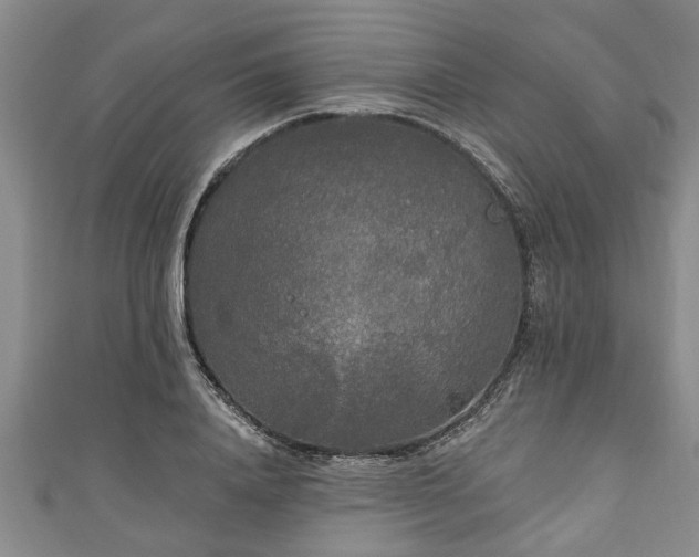 X0000111170840200907081213