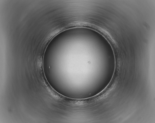 X0000111170841200907081213