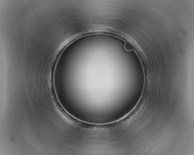 X0000111170842200907081213