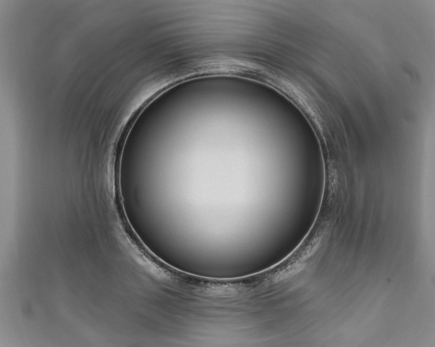 X0000111170843200907081213