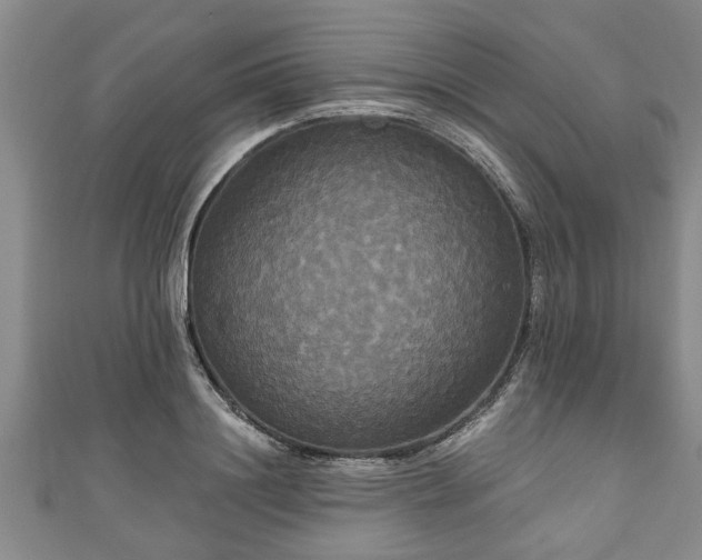 X0000111170844200907081213