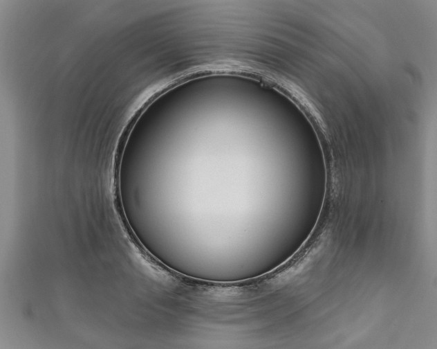 X0000111170845200907081213