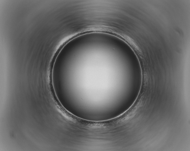 X0000111170846200907081213