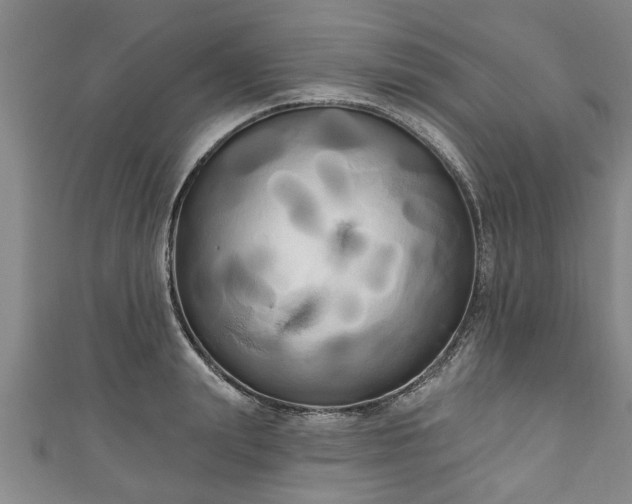 X0000111170847200907081213