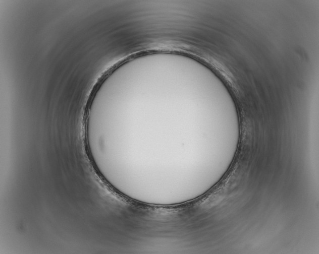 X0000111170848200907081213