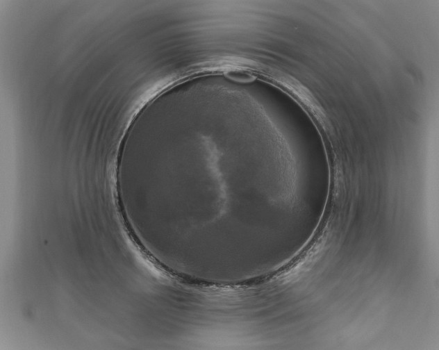 X0000111170850200907081213