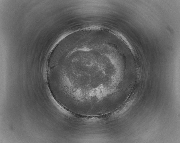 X0000111170851200907081213