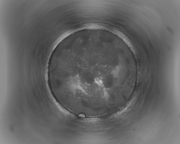 X0000111170853200907081213