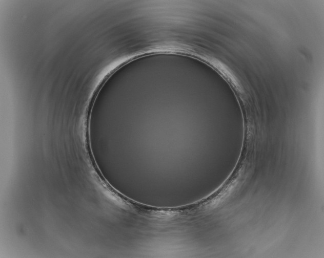 X0000111170854200907081213