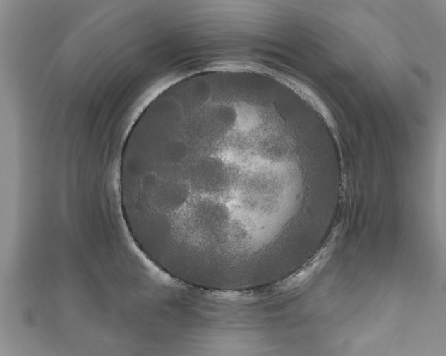 X0000111170855200907081213